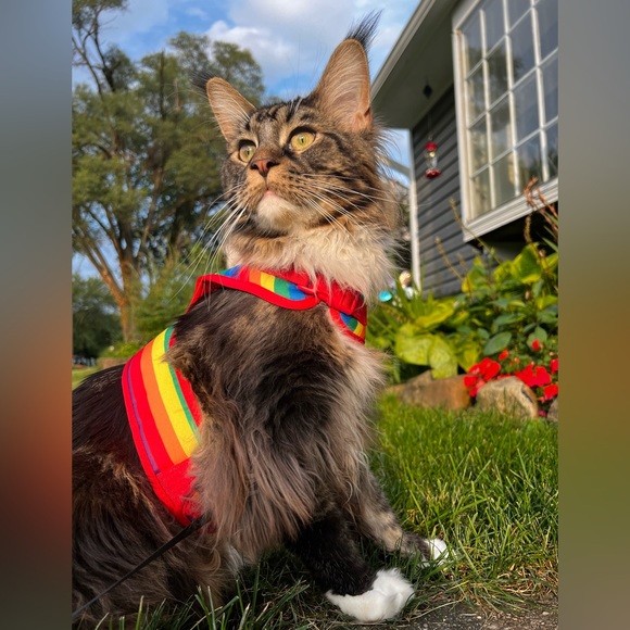 Meet your Posher, Jenny - Picture 2 of 3